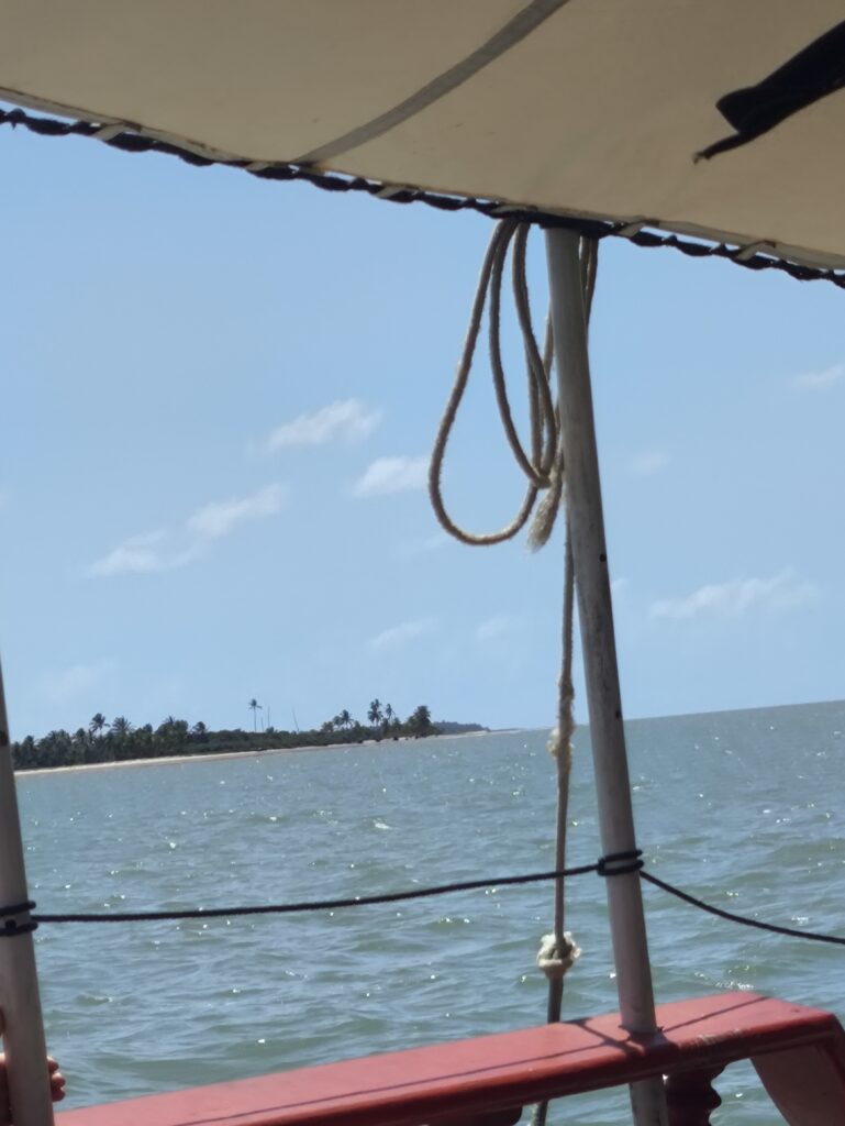 img 20240909 111338