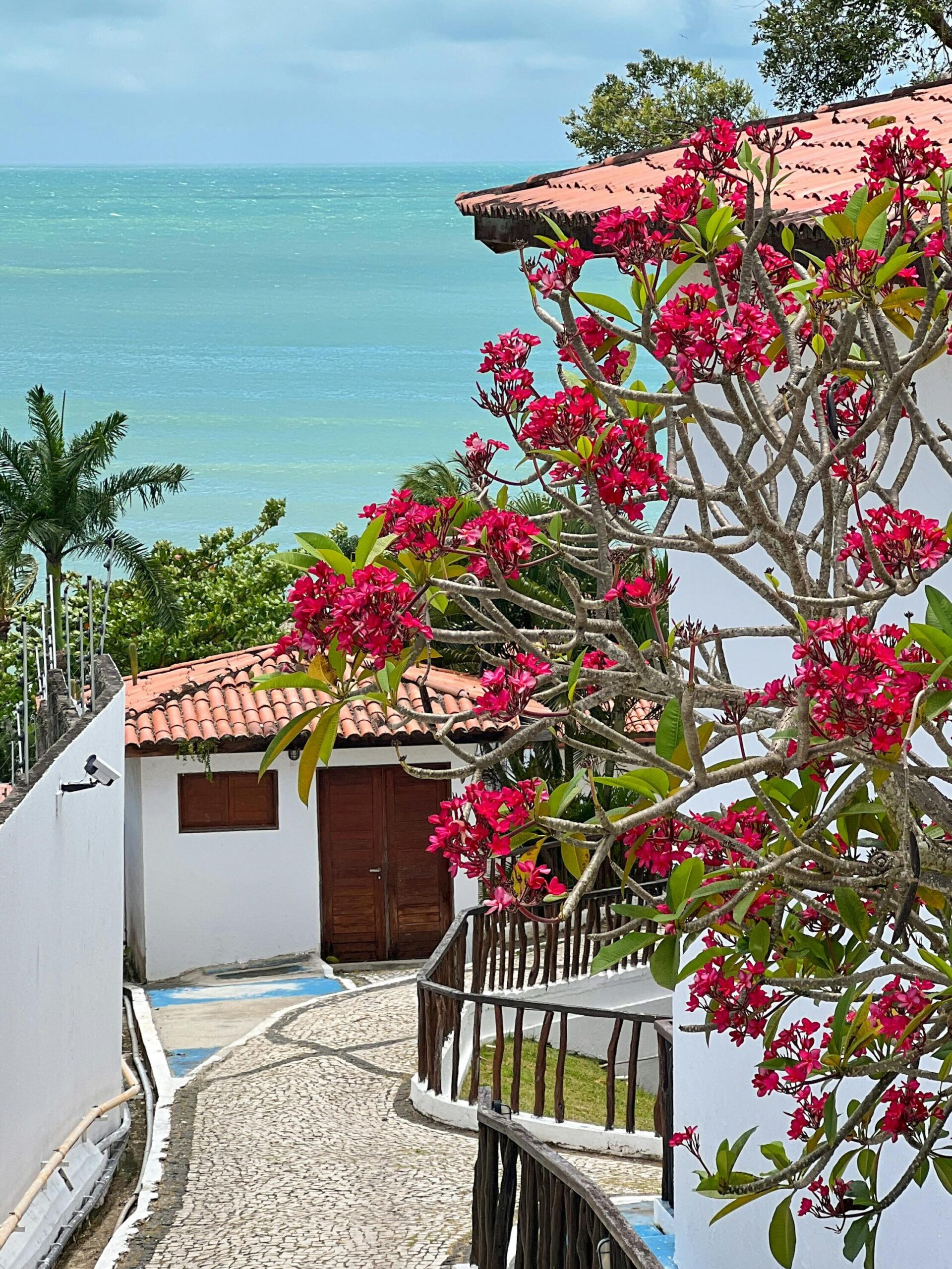 Beautiful Brazilian street by the coast with vibrant flowers and ocean view.